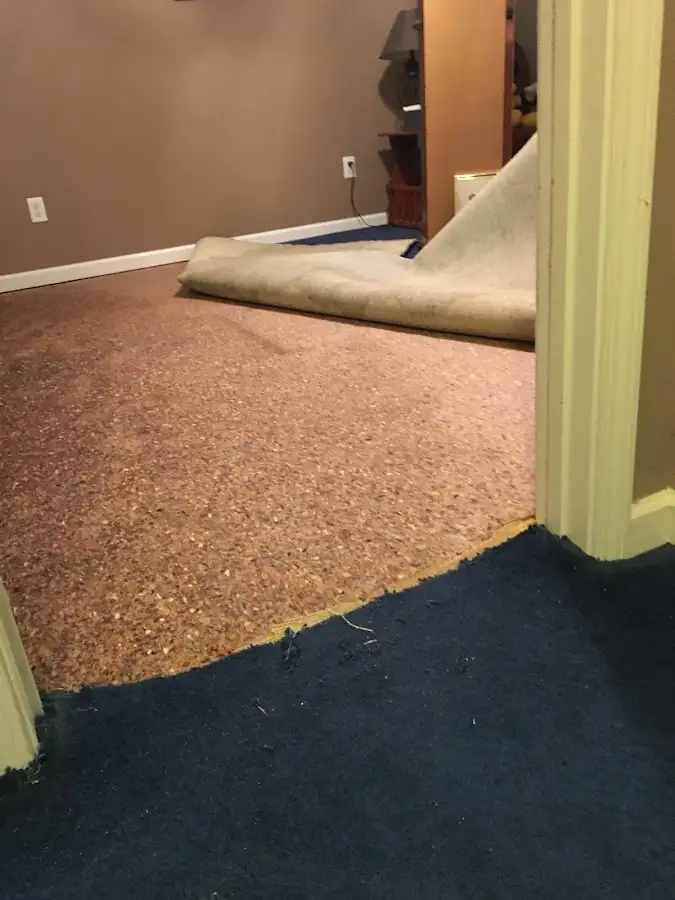Carpet pad removal revealing water damage during Drying & Dehumidification in Altamonte Springs