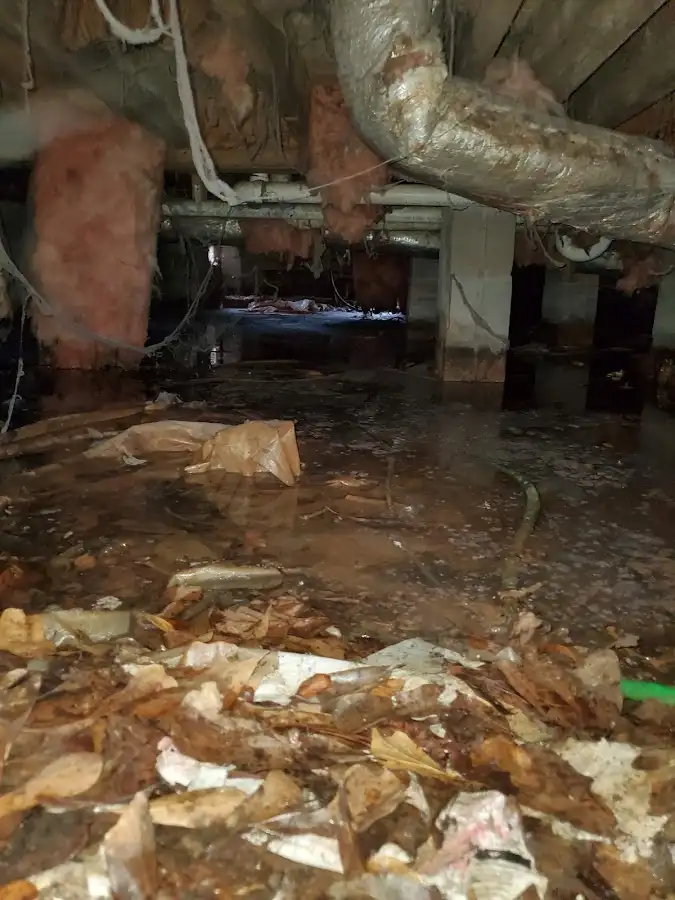 Crawl space flood assessment for Commercial Water Damage Restoration in Altamonte Springs