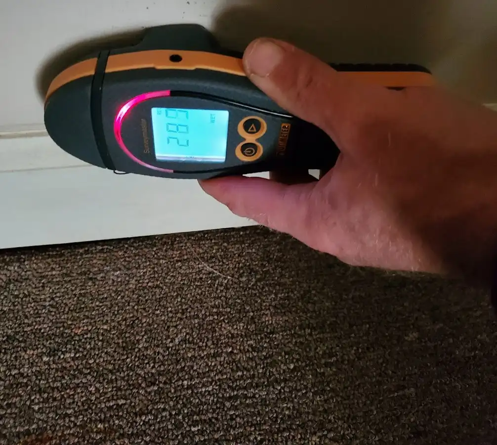 Moisture detection at baseboard during Sewage Cleanup & Sanitation in Altamonte Springs